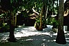 IHURU021.JPG