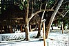 IHURU023.JPG