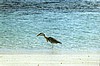IHURU040.JPG