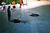 IHURU067.JPG