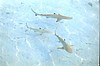 IHURU069.JPG