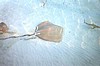IHURU070.JPG