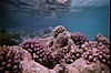 IHURU075.JPG
