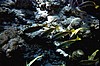 IHURU077.JPG