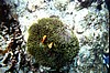 IHURU079.JPG