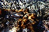 IHURU080.JPG