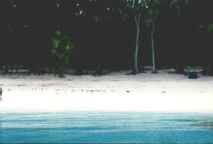 Kar080.jpg