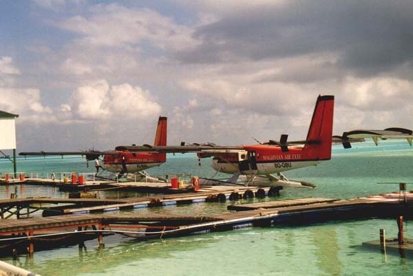 koman003.jpg