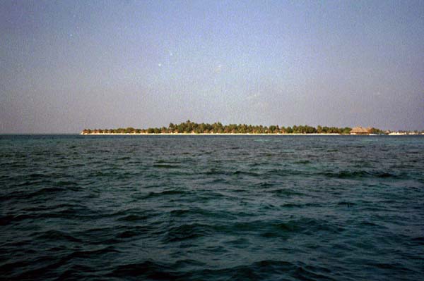 koman009.jpg