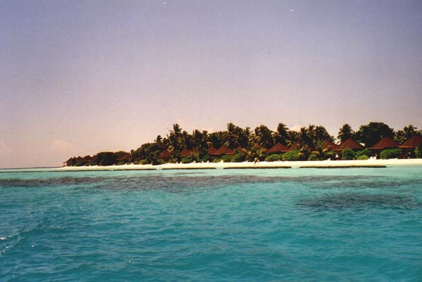 koman010.jpg
