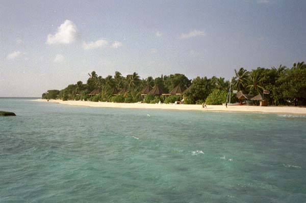 koman012.jpg