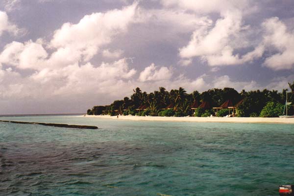koman014.jpg