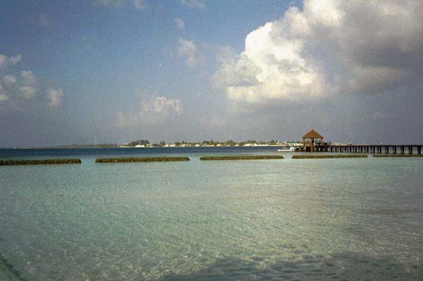 koman018.jpg