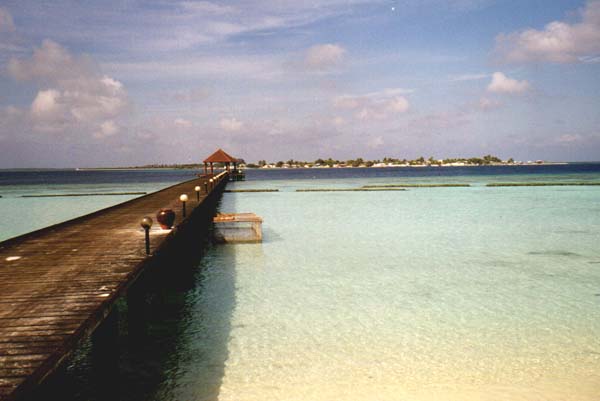 koman022.jpg