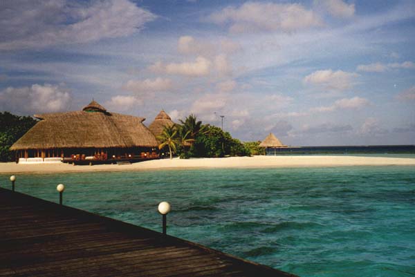 koman023.jpg