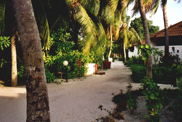koman031.jpg