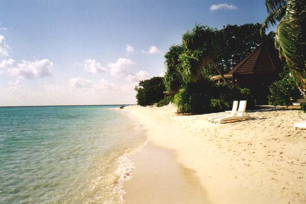 koman042.jpg
