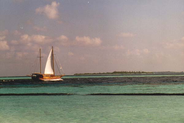 koman043.jpg