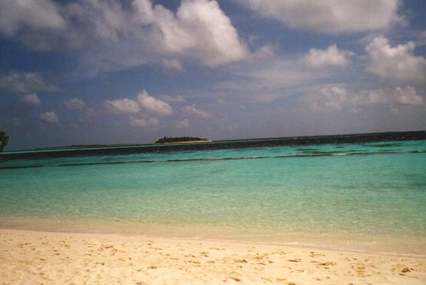 koman047.jpg