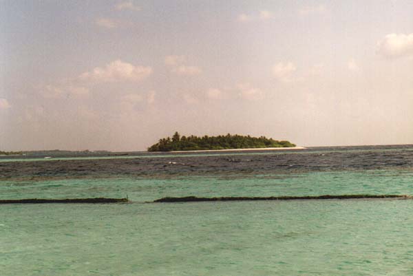 koman048.jpg