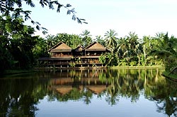 Sepilok Nature Resort