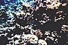 Maluw004.jpg