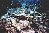 Maluw031.jpg