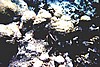 Maluw046.jpg