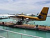 002P7060917.jpg