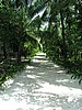 017P7120575.jpg