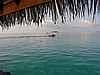 032P7171101.jpg