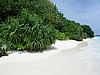 037P7120627.jpg