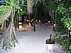 044P7161080.jpg