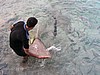 049P7081261.jpg