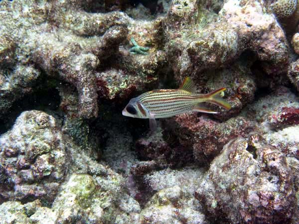 solP7130772.JPG