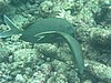 kanP1010367.JPG