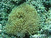 kssP1010412.JPG