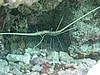 lanP7171174.JPG