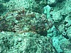 scoP1010473.JPG