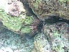 scoP7191385.JPG