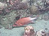 solP7120687.JPG