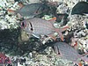 solP7130771.JPG