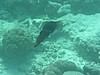 tinP7081194.JPG