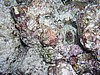 tinP7120710.JPG