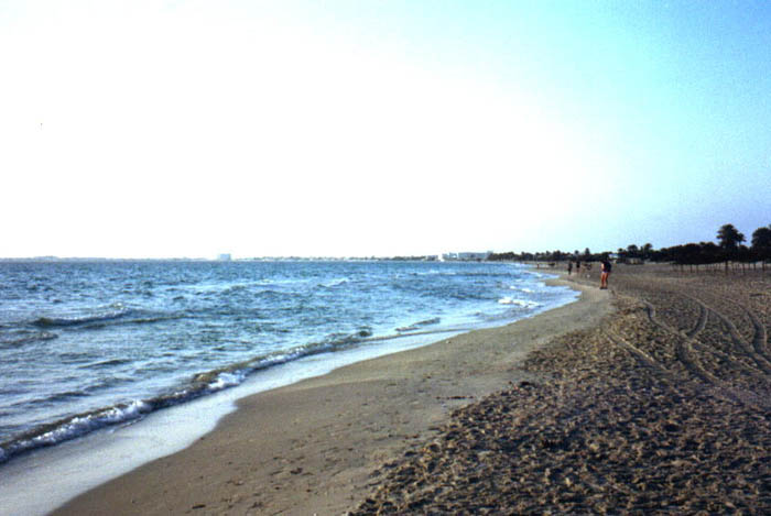 Tun15.jpg