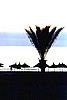 Tun13.jpg